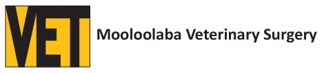 Mooloolaba Veterinary Surgery